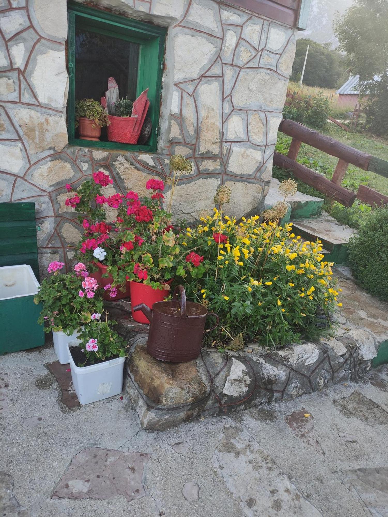 Villa Durmitorska Koliba Sa Kupatilom Žabljak Camera foto