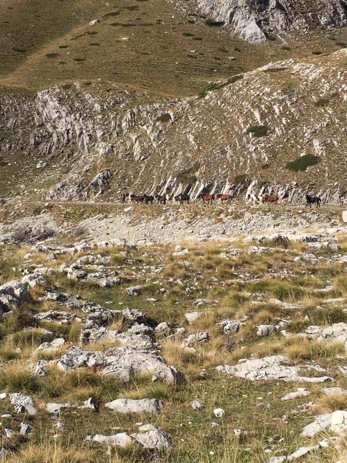 Villa Durmitorska Koliba Sa Kupatilom Žabljak Esterno foto